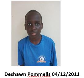 Deshwan Pommells